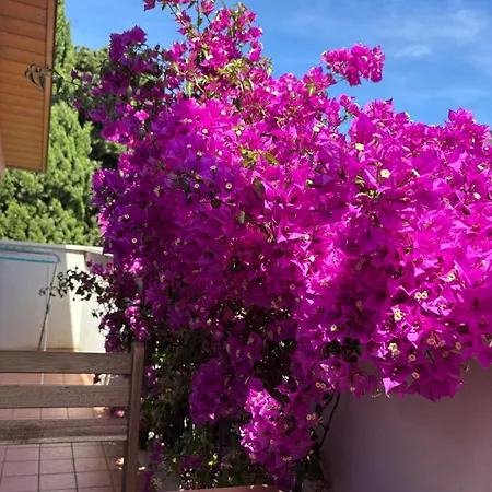 Bed & Breakfast Carlotta 3*