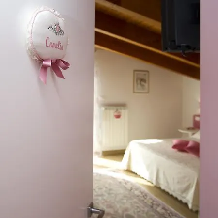Carlotta Bed & Breakfast Montesilvano